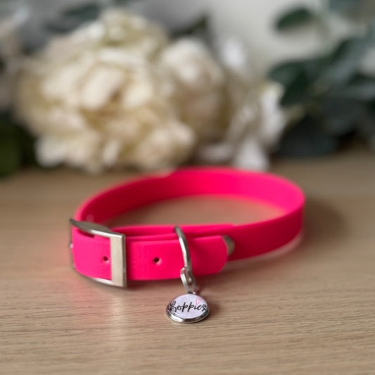 Neon Pink Collar 1.6cm width