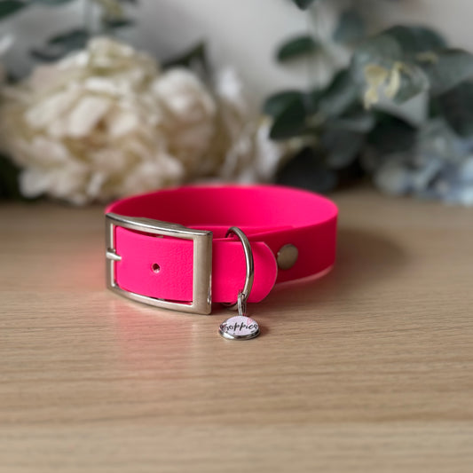 Neon Pink Collar 2.5cm Width