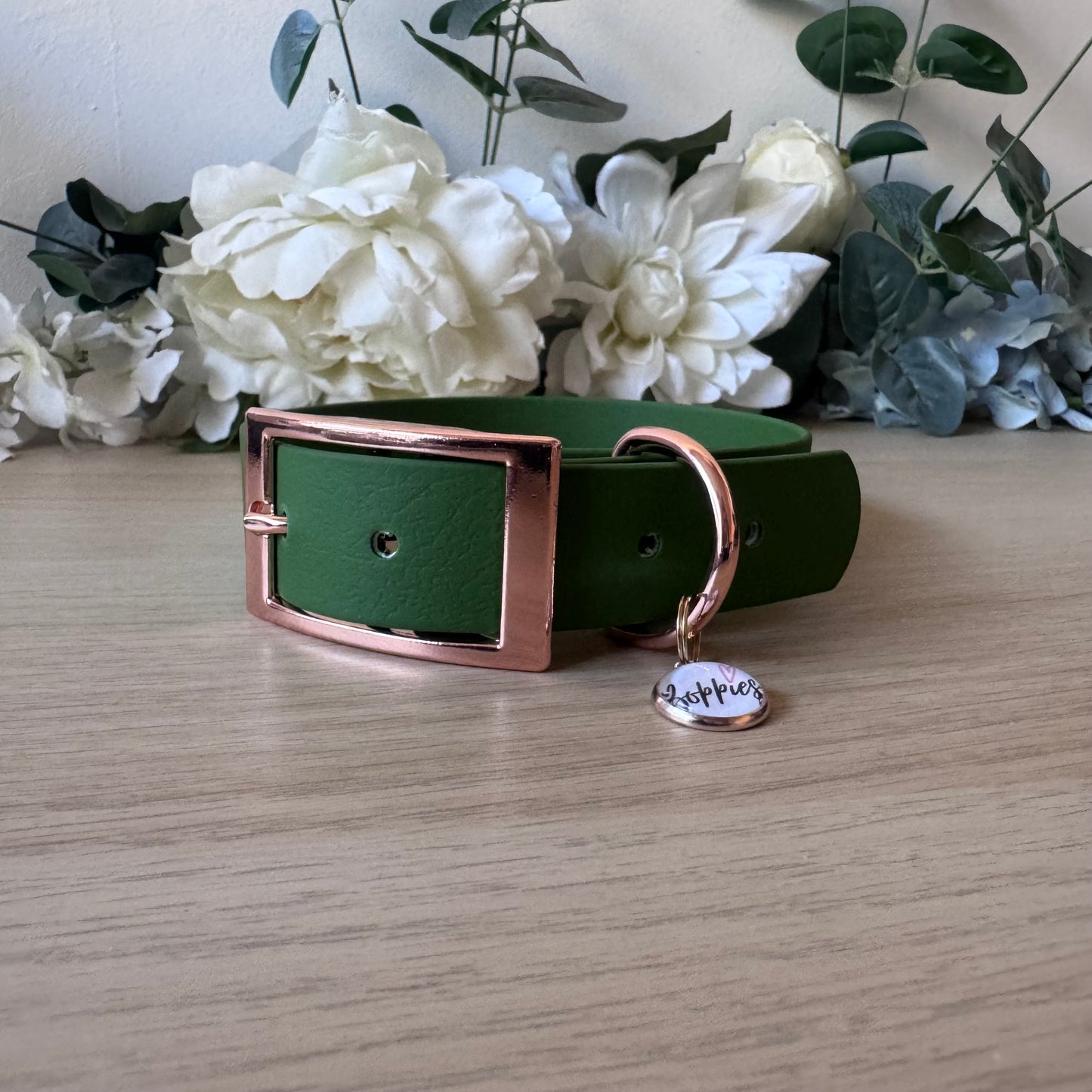 Olive Collar 2.5cm Width