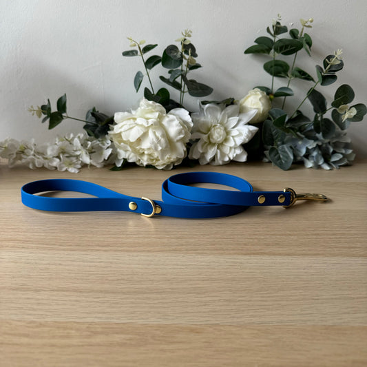 Royal Blue Lead