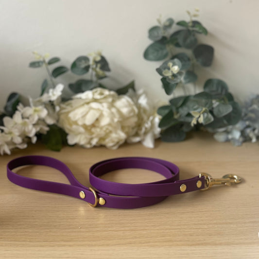 Plum Purple Lead