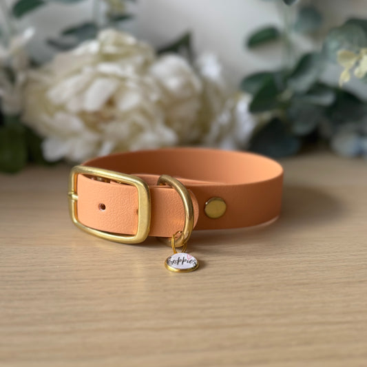 Peach Tan Collar 2.5cm Width