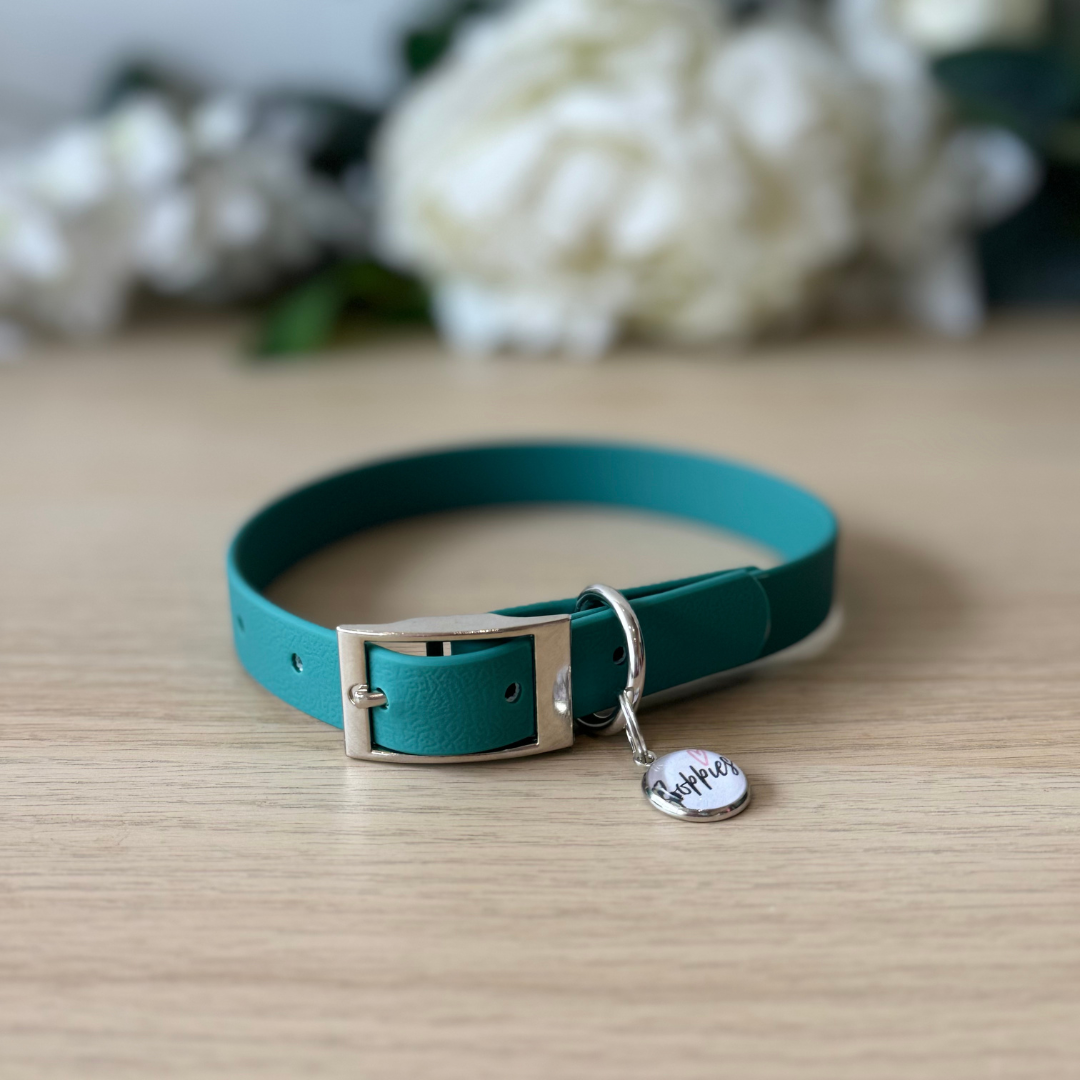 Teal Collar 1.6cm width