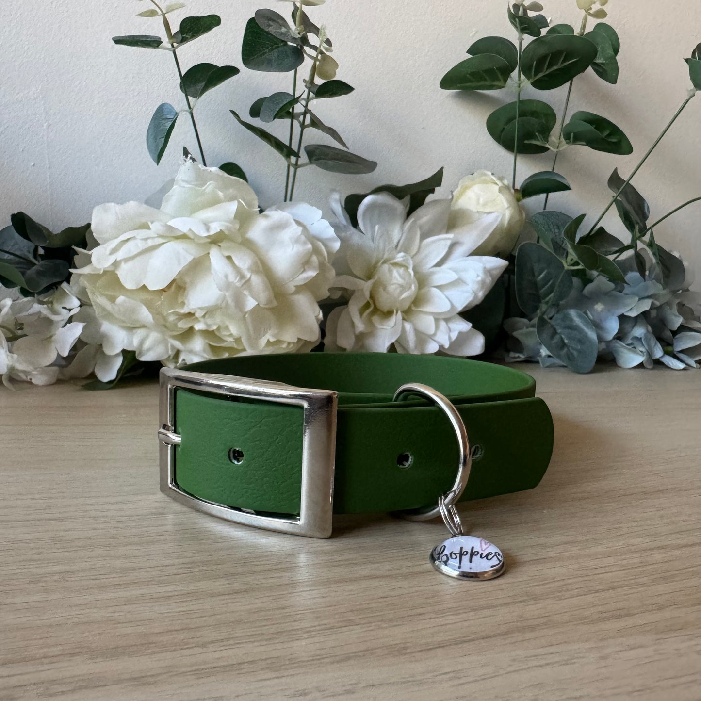 Olive Collar 2.5cm Width