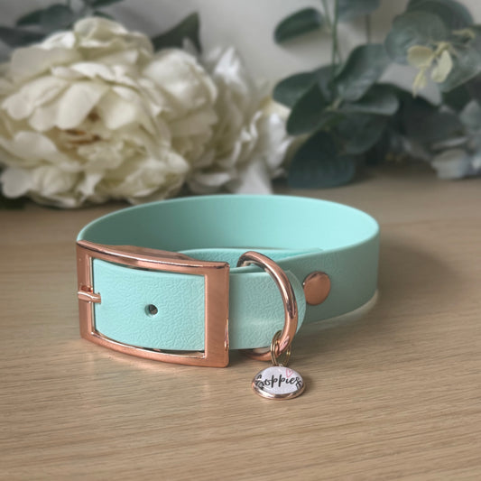 Light Blue Collar 2.5cm Width