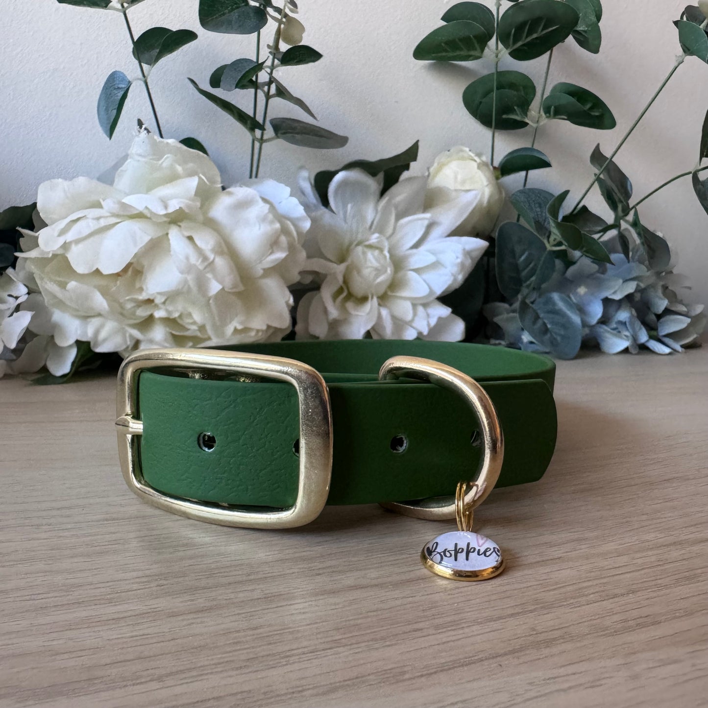 Olive Collar 2.5cm Width