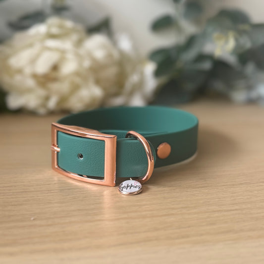 Teal Collar 2.5cm Width