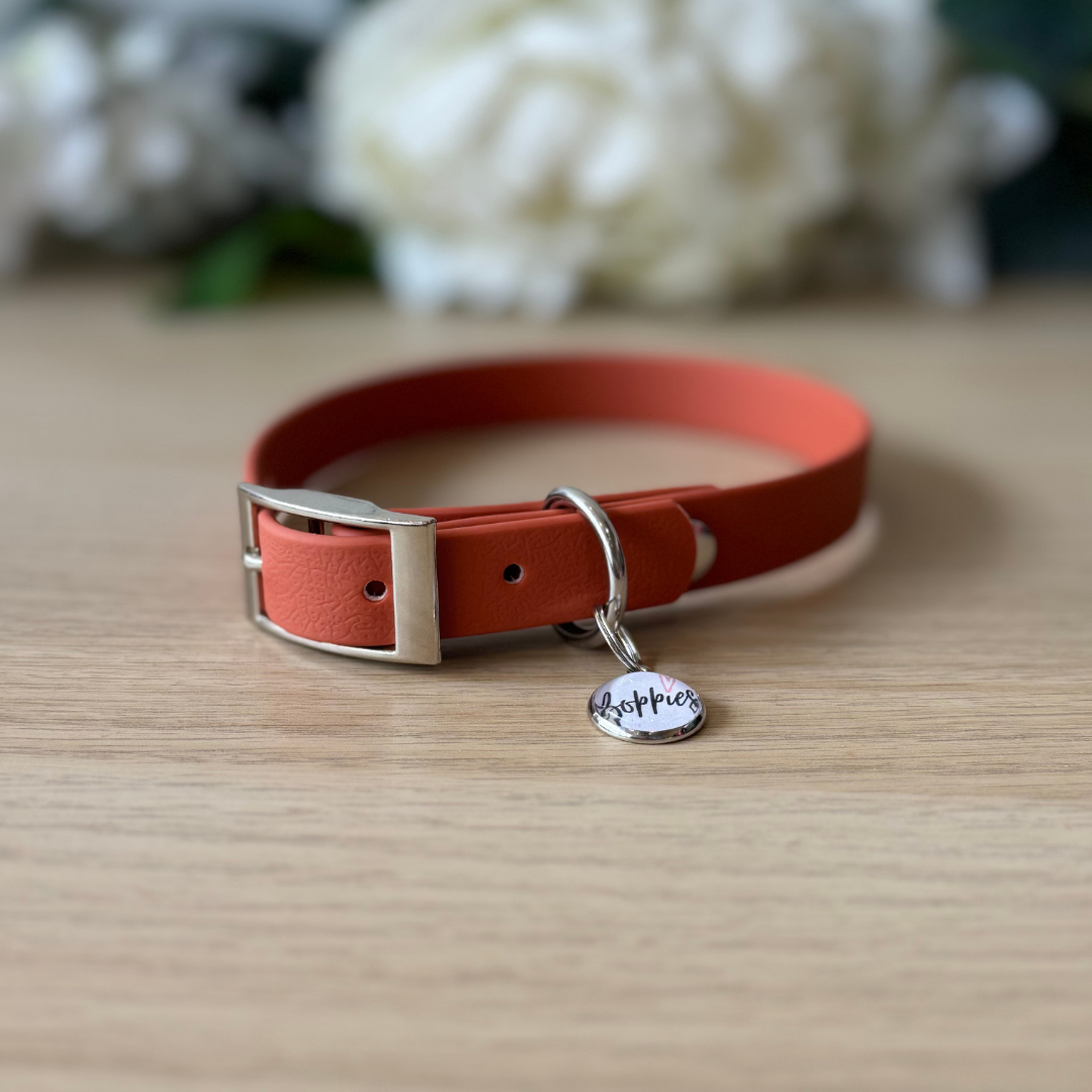 Burnt Orange Collar 1.6cm width
