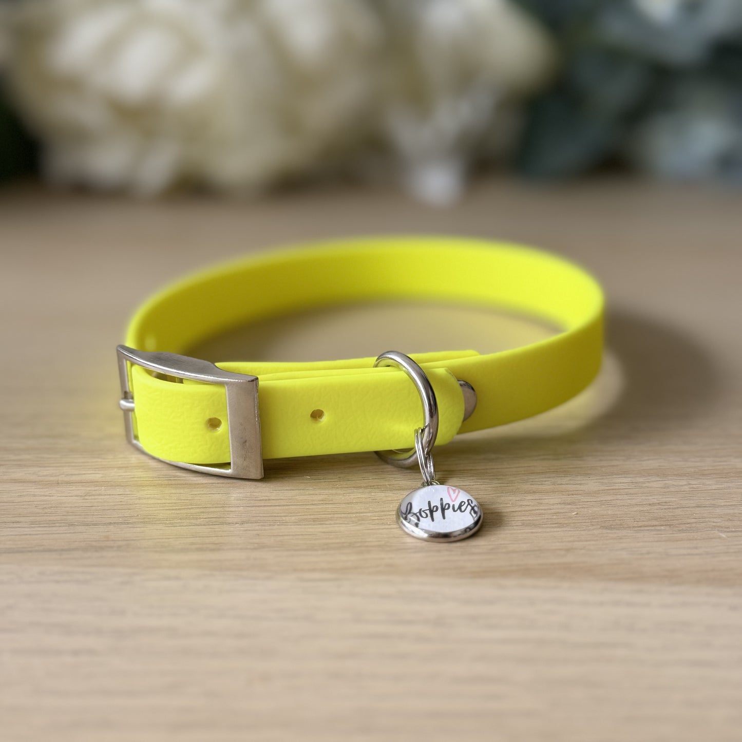 Neon Yellow Collar 1.6cm width