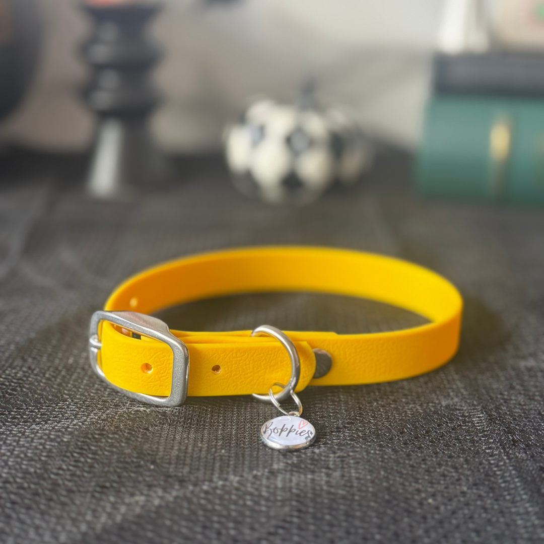 Harvest Moon Collar 1.6cm width