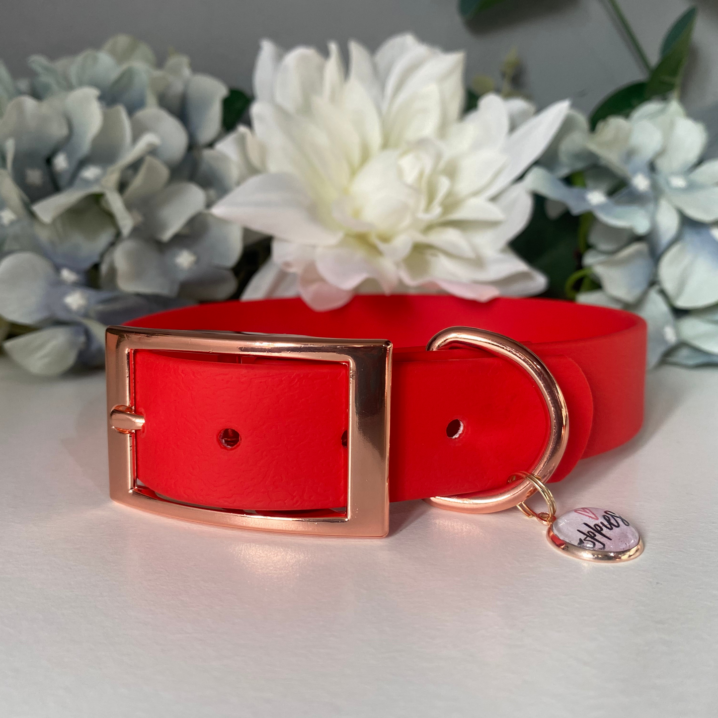 Large Candy Red Collar 2.5cm Width