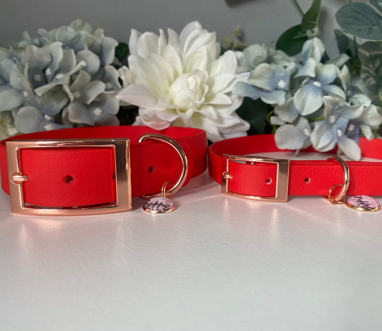 Large Candy Red Collar 2.5cm Width