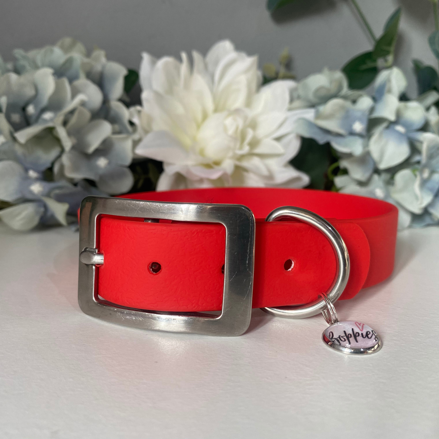 Large Candy Red Collar 2.5cm Width