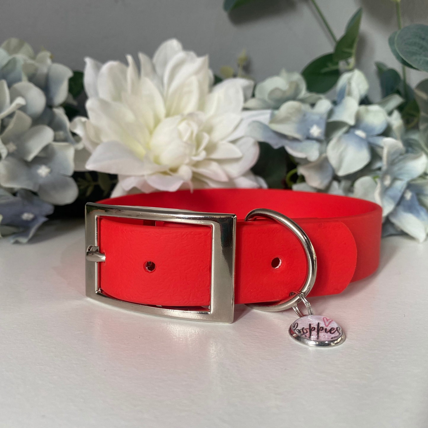 Large Candy Red Collar 2.5cm Width