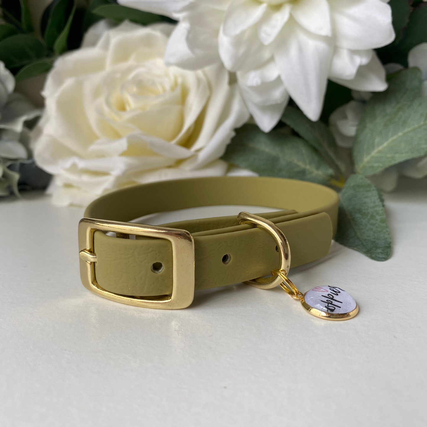 Khaki Green Collar 1.6cm width