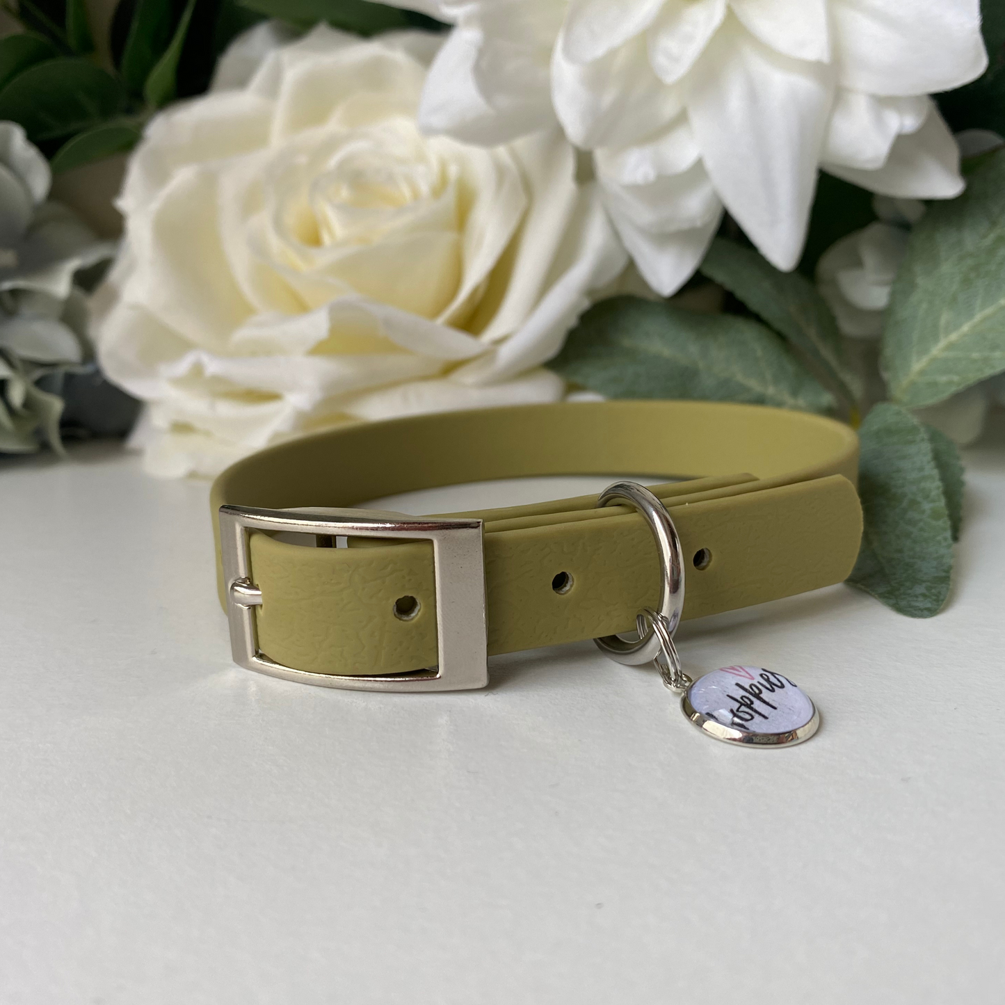 Khaki Green Collar 1.6cm width