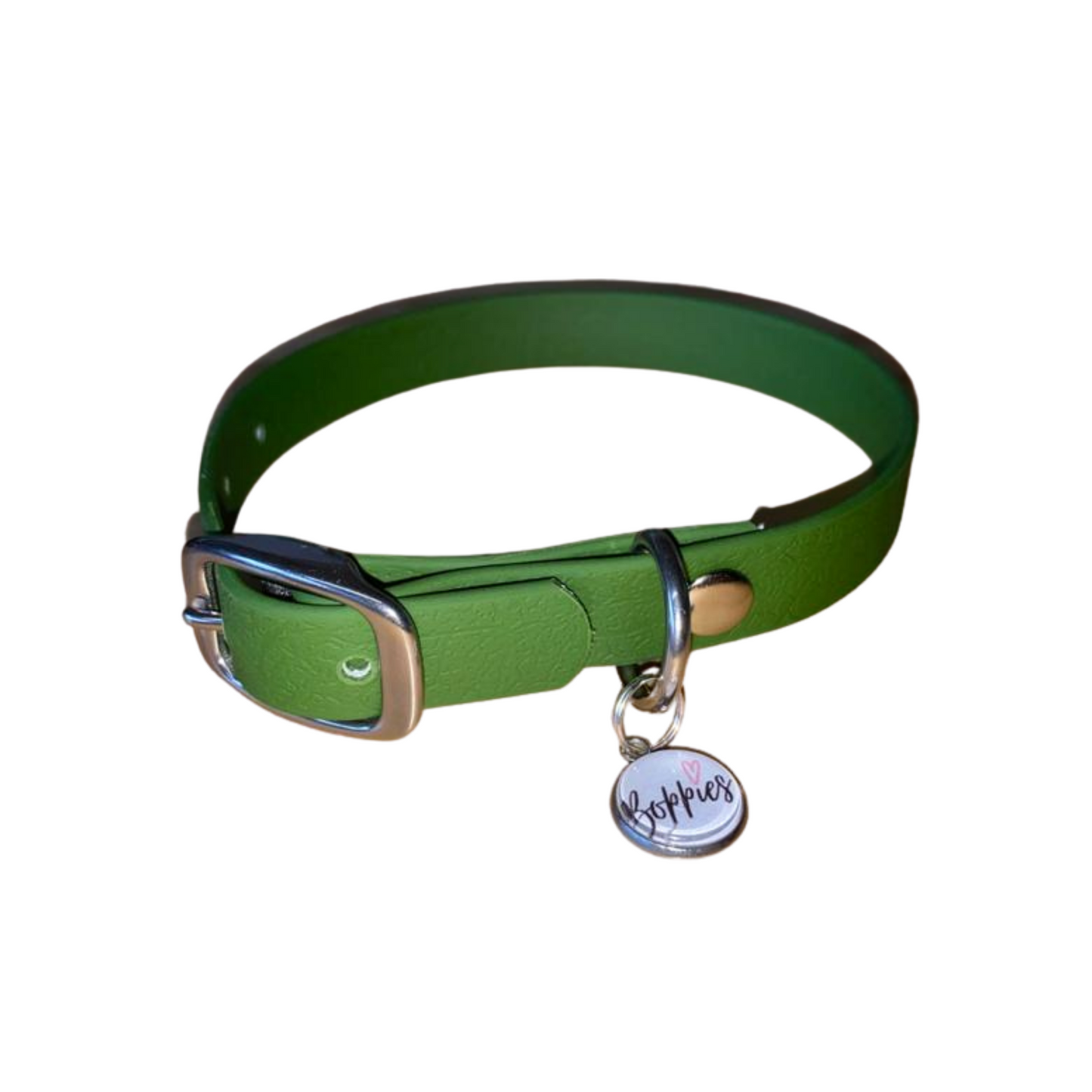 Olive green waterproof dog collar with silver hardware