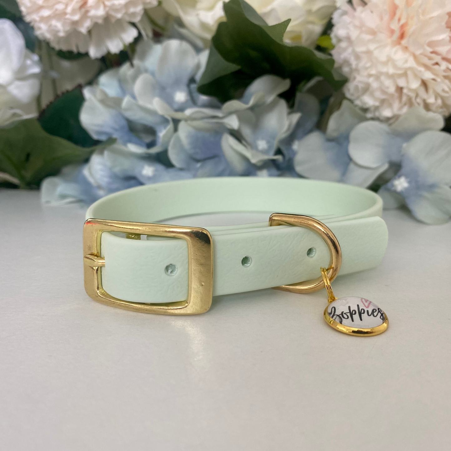 Pastel Mint Collar 1.6cm width