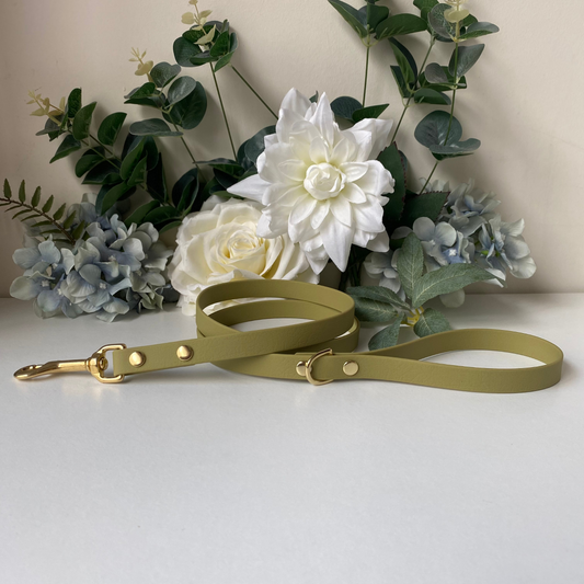 Khaki Green Waterproof Lead