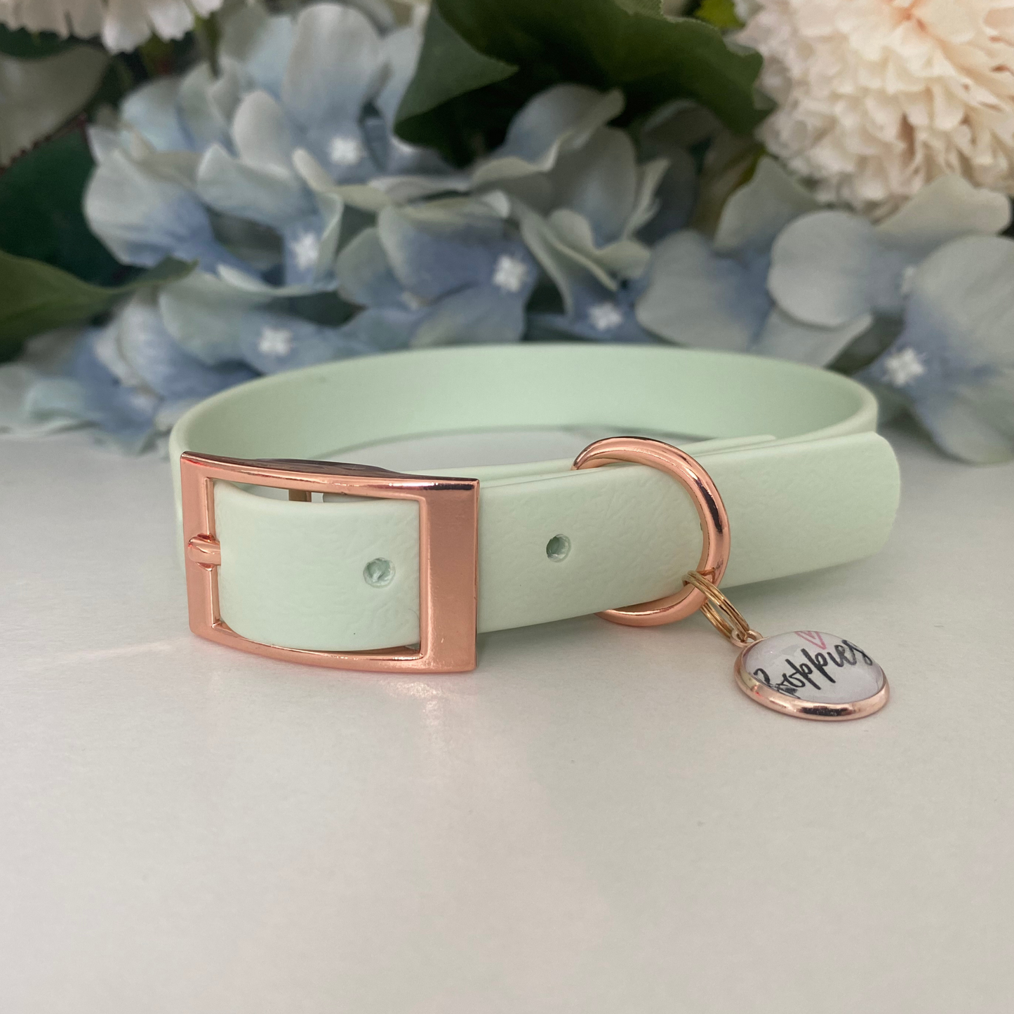 Pastel Mint Collar 1.6cm width