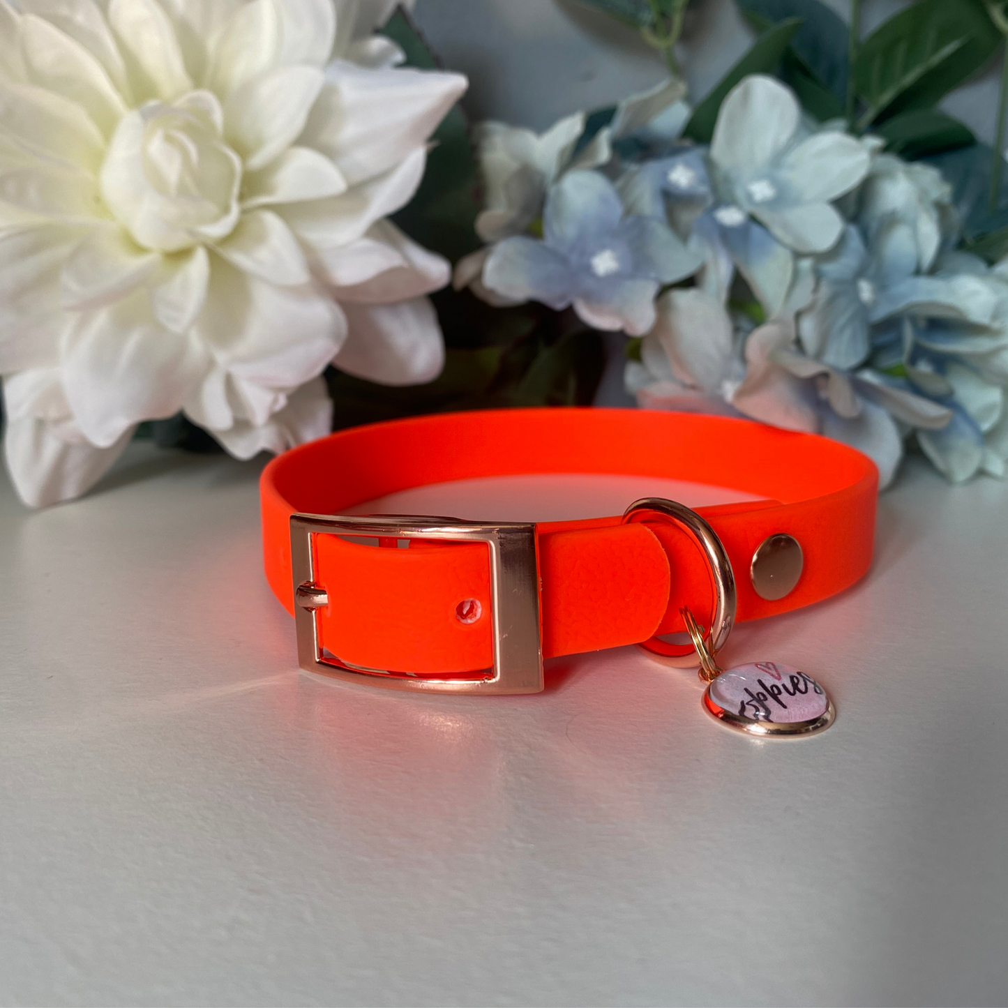 Neon Orange Collar 1.6cm width