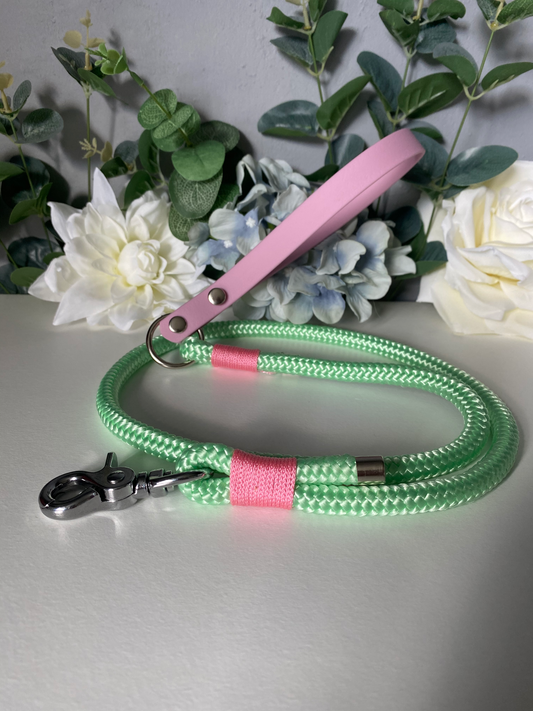 Pastel Mint Paracord Lead