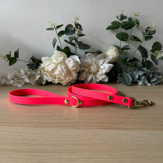 Hot Pink Lead