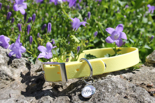 Pastel Yellow Collar 1.6cm width