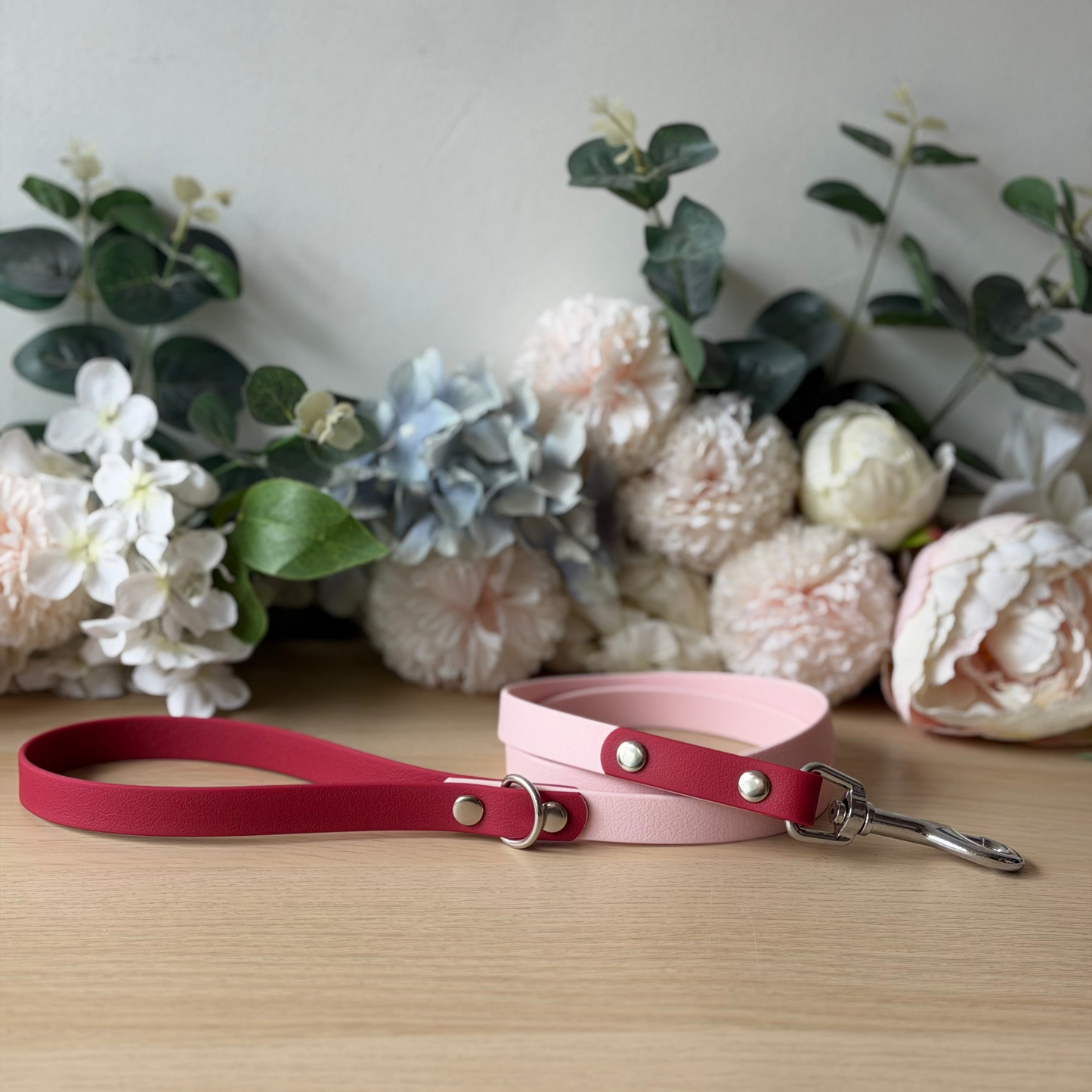Pink And Maroon Lead