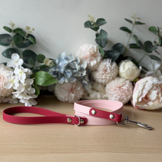 Pink And Maroon Lead