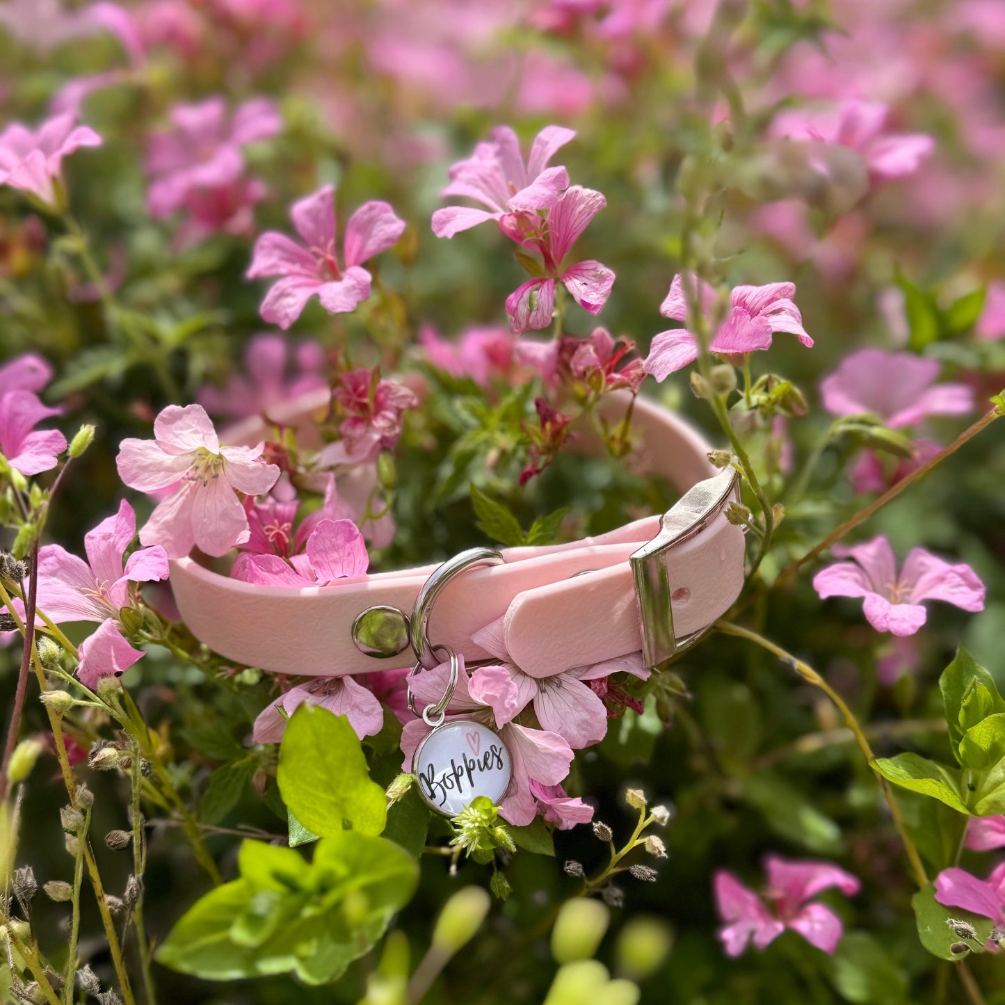Pastel Pink Collar 1.6cm width