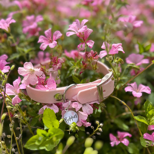 Pastel Pink Collar 1.6cm width