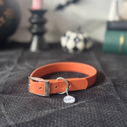 Pumpkin Spice Collar 1.6cm width