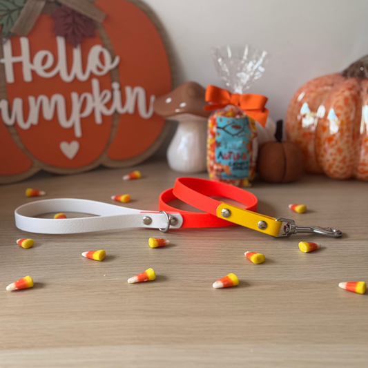 Candy Corn Lead
