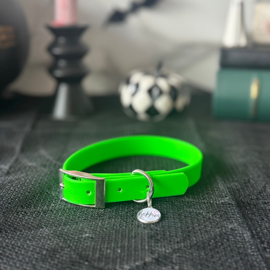 Slime Green Collar 1.6cm width