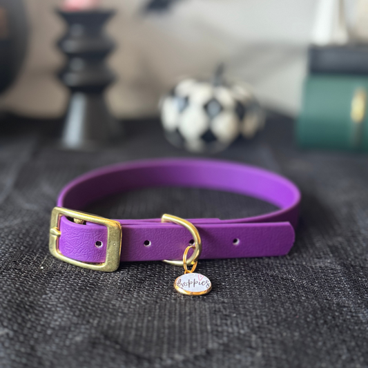 Poison Plum Collar 1.6cm width