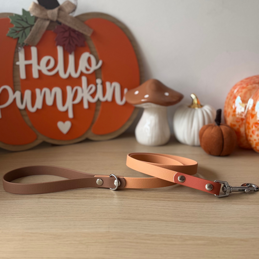 Pupkin Spice Lead