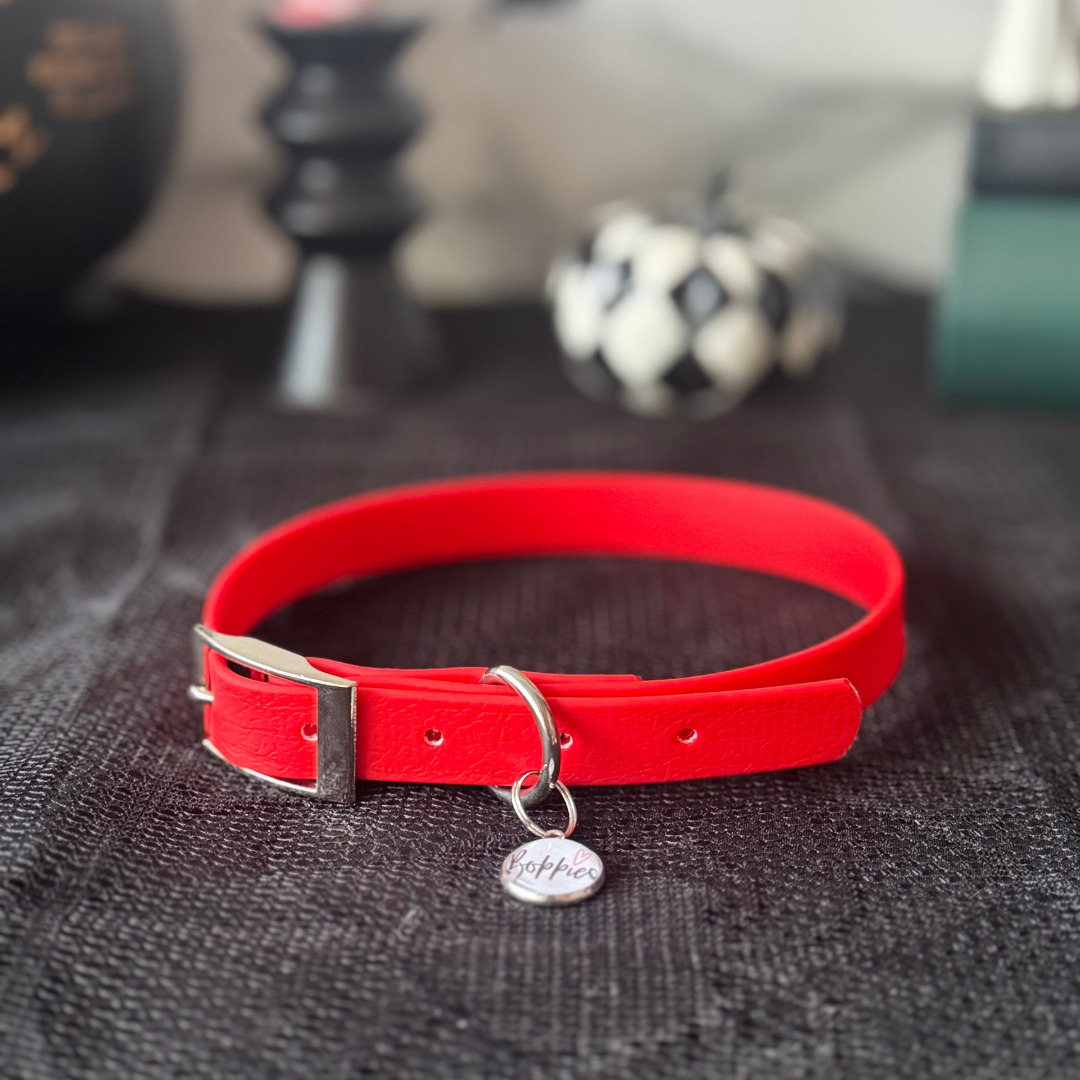 Vampires Kiss Collar 1.6cm width