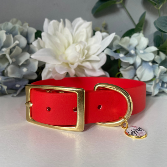 Large Candy Red Collar 2.5cm Width
