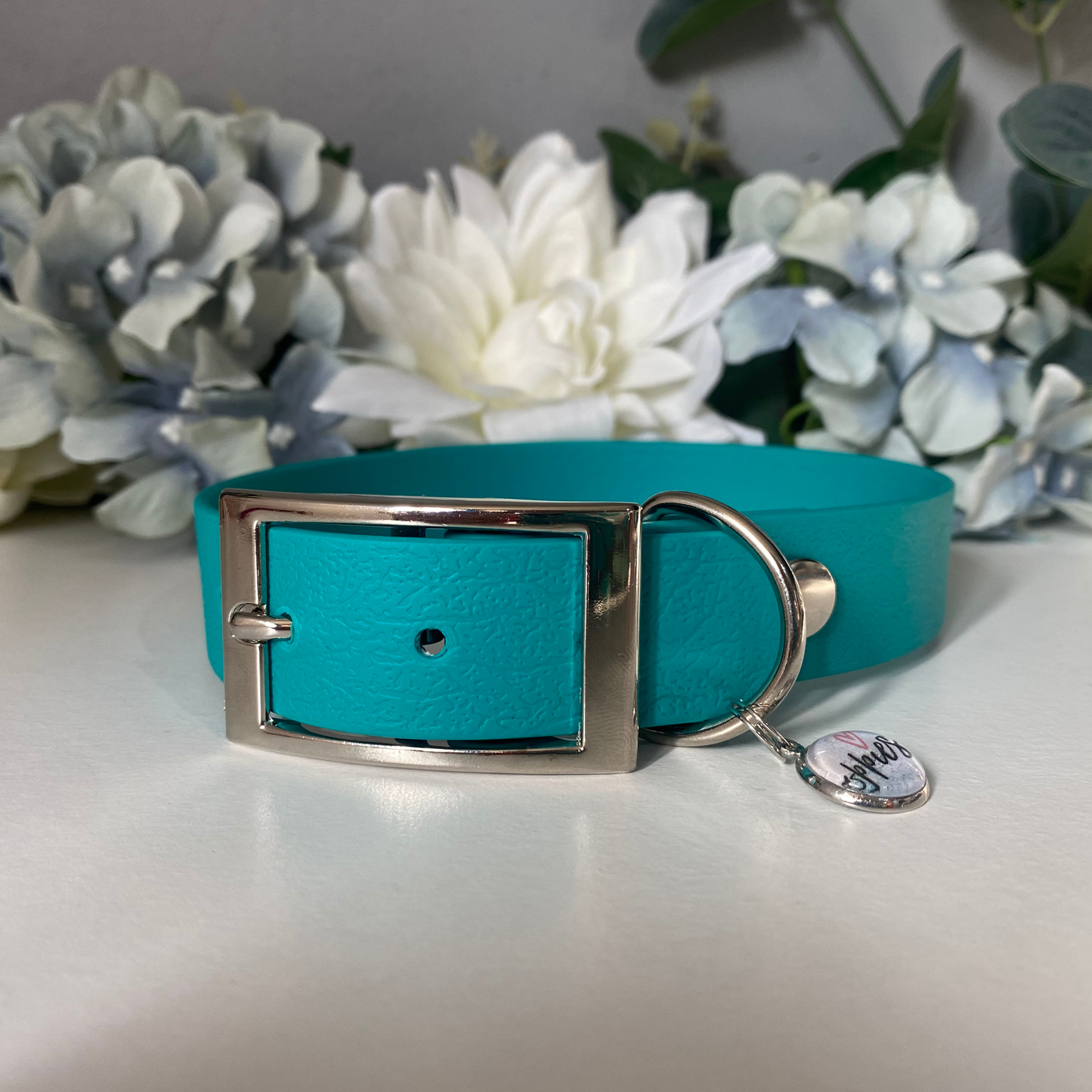 Large Ocean Blue Collar 2.5cm Width
