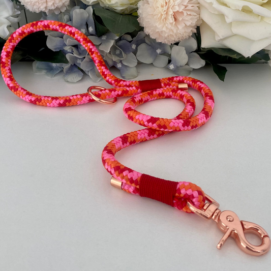Sunset Paracord Lead Red, Pink & Orange