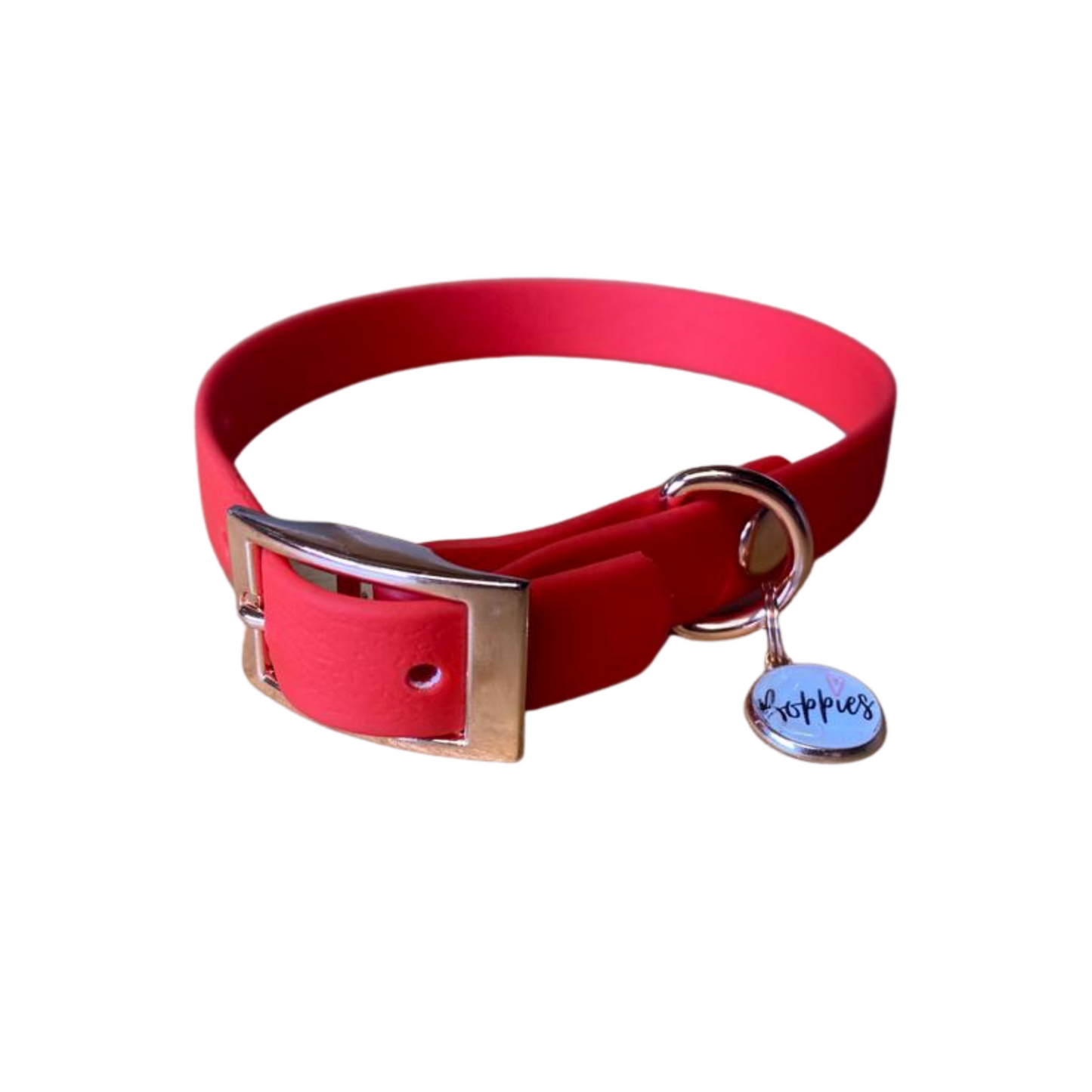 Red waterproof dog collar with rose gold hardware