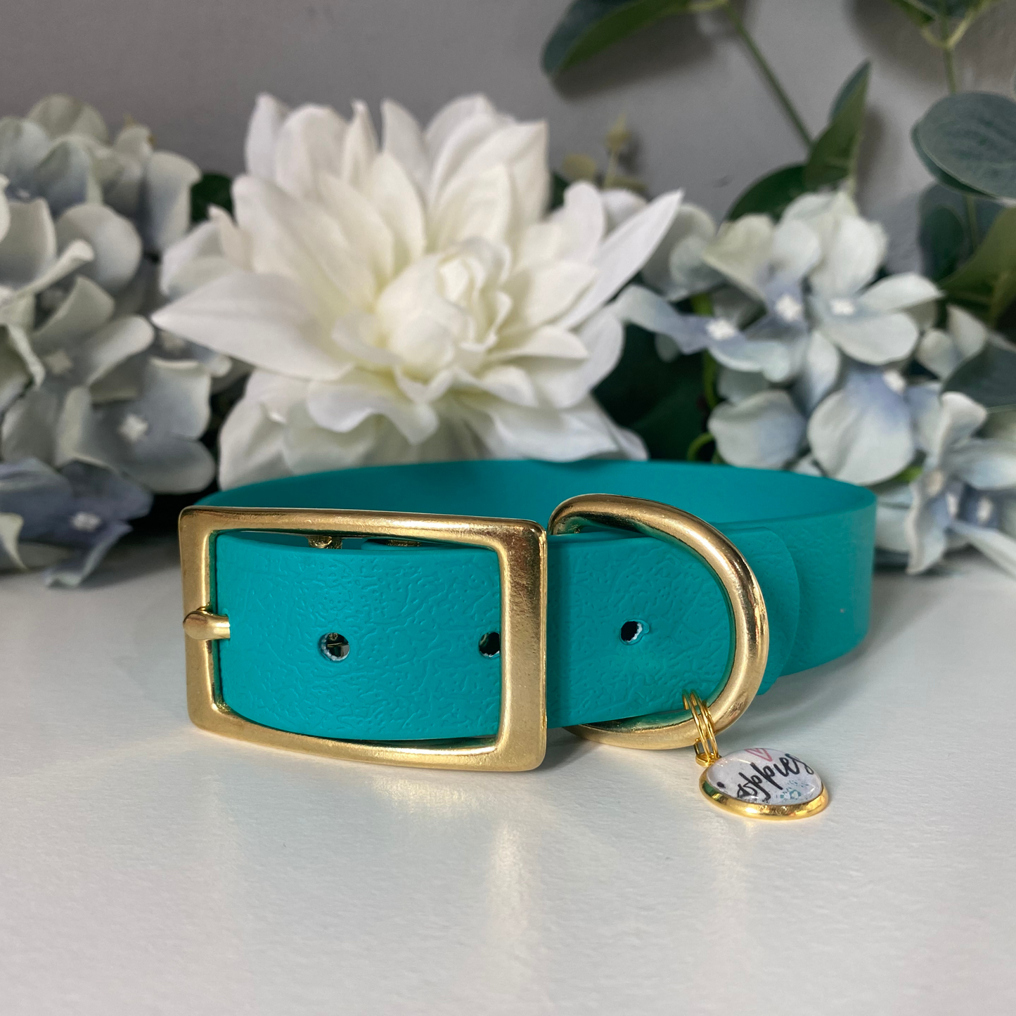 Large Ocean Blue Collar 2.5cm Width