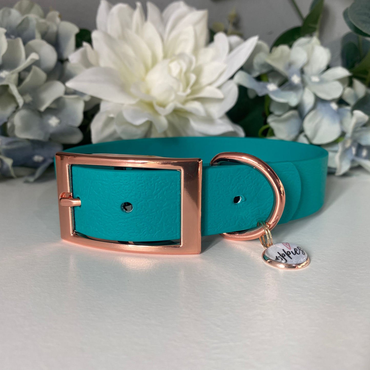 Large Ocean Blue Collar 2.5cm Width