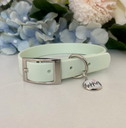 Pastel Mint Collar 1.6cm width