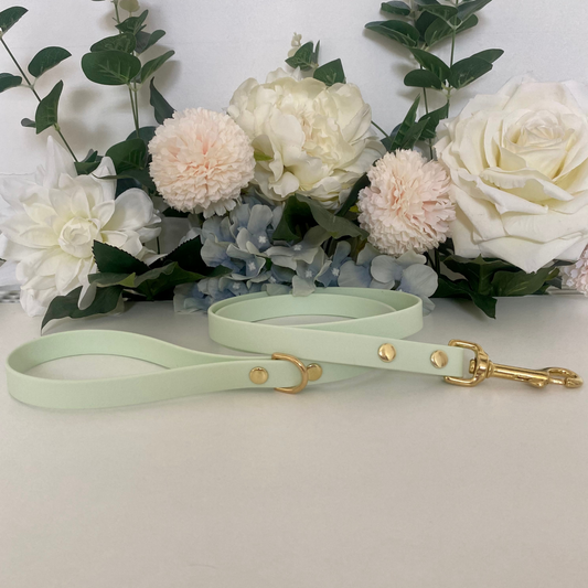 Pastel Mint Waterproof Lead