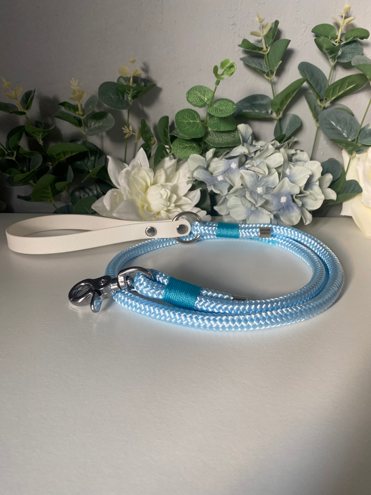 Pastel Blue Paracord Lead