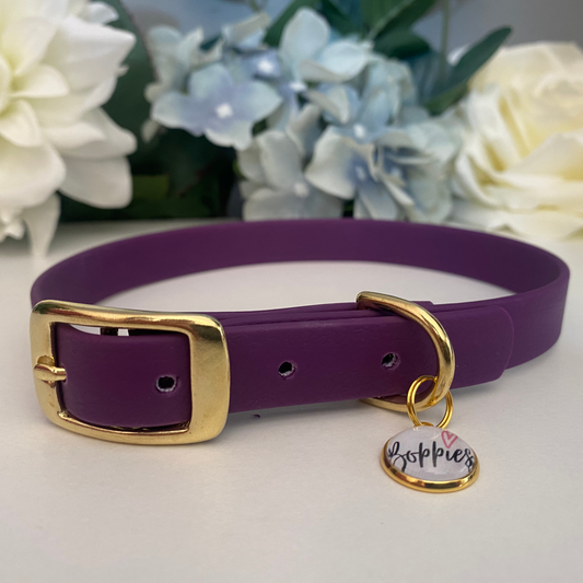 Plum Purple Collar 1.6cm width