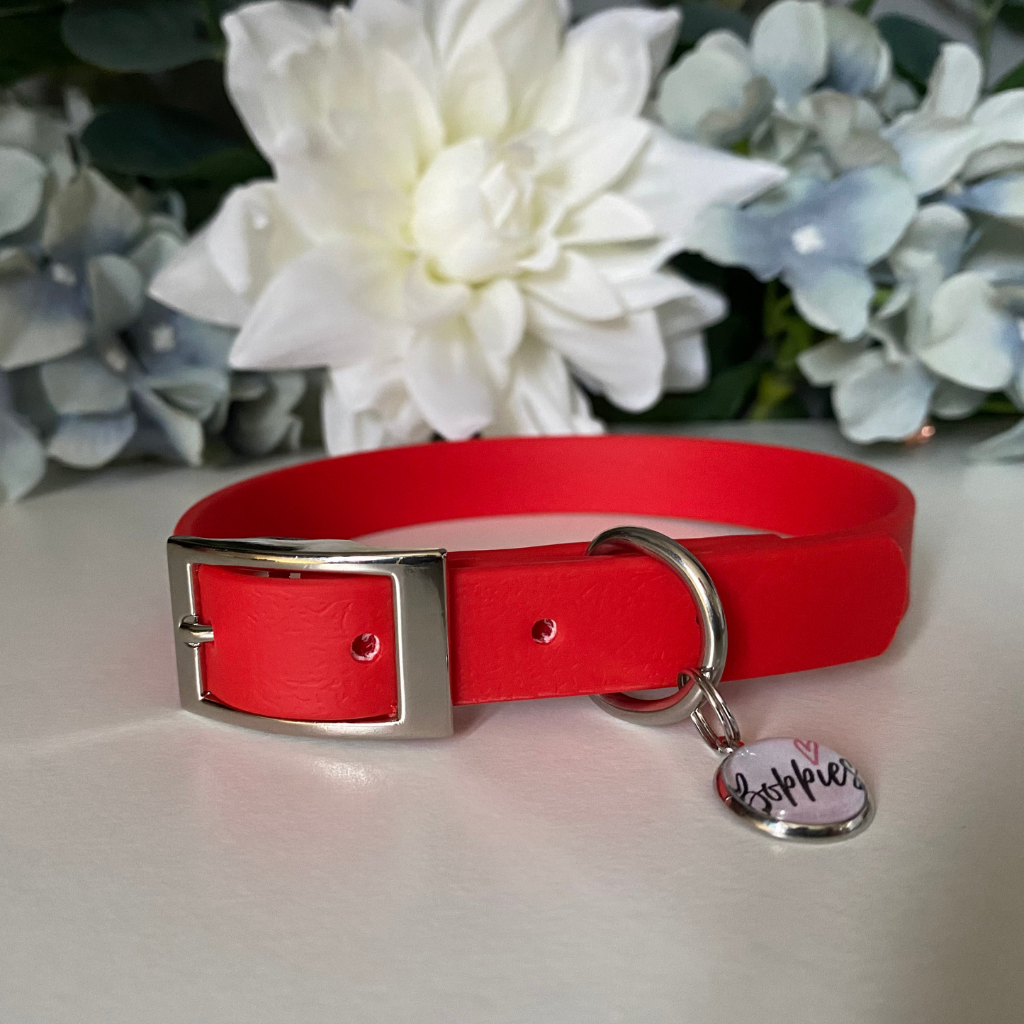 Candy Red Collar 1.6cm width