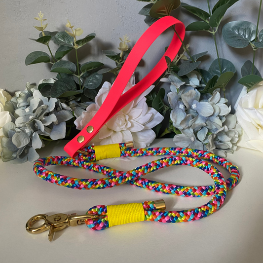 Rainbow Paracord Lead